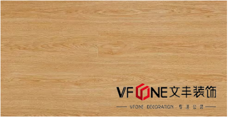 深圳裝修公司文豐裝飾